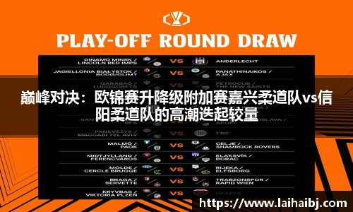 巅峰对决：欧锦赛升降级附加赛嘉兴柔道队vs信阳柔道队的高潮迭起较量